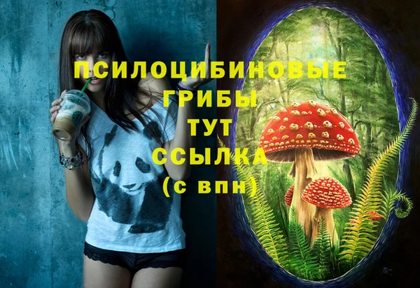 PSILOCYBIN Балахна