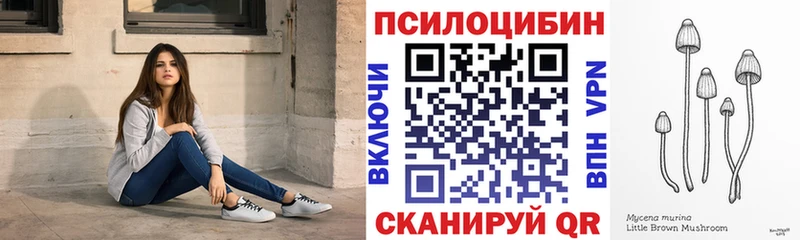 ссылка на мегу ССЫЛКА  дарк нет наркотические препараты  Псилоцибиновые грибы Psilocybe  Кумертау 